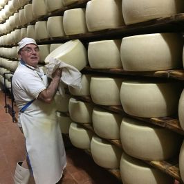 Parmigiano Reggiano Dairy Tour