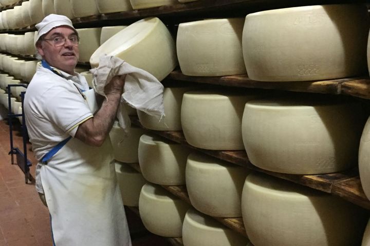 Parmigiano Reggiano Dairy Tour