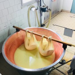 Parmigiano Reggiano Dairy Tour