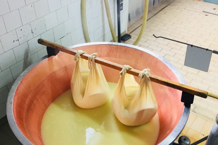 Parmigiano Reggiano Dairy Tour