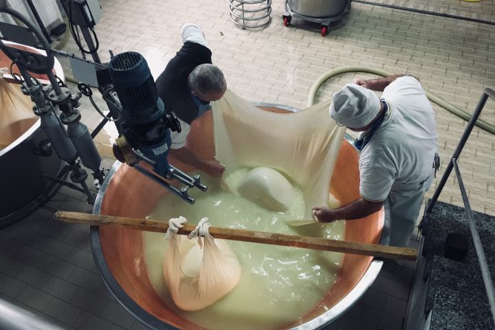 Parmigiano Reggiano Dairy Tour