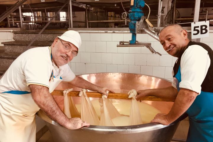Parmigiano Reggiano Dairy Tour