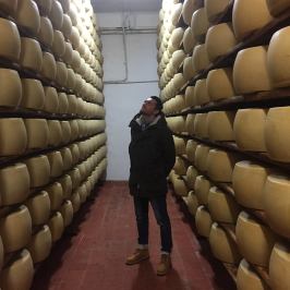 Parmigiano Reggiano Dairy Tour