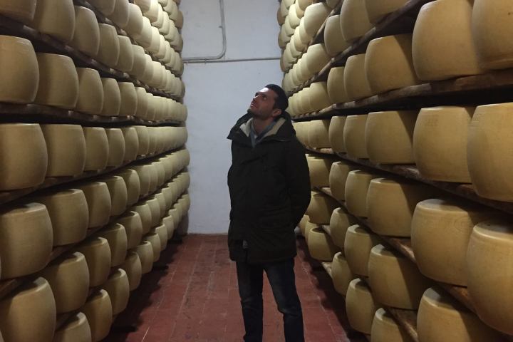 Parmigiano Reggiano Dairy Tour