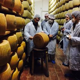 Parmigiano Reggiano Dairy Tour