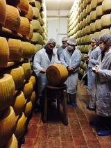 Parmigiano Reggiano Dairy Tour
