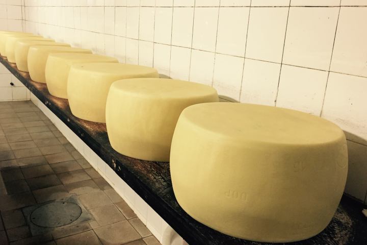 Parmigiano Reggiano Dairy Tour