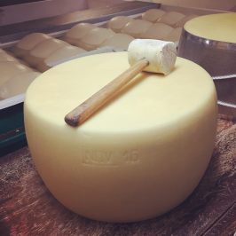 Parmigiano Reggiano Dairy Tour