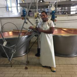 Parmigiano Reggiano Dairy Tour