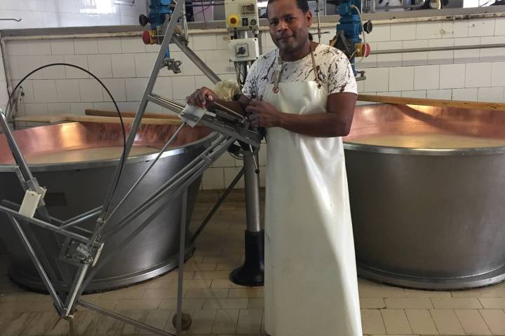 Parmigiano Reggiano Dairy Tour