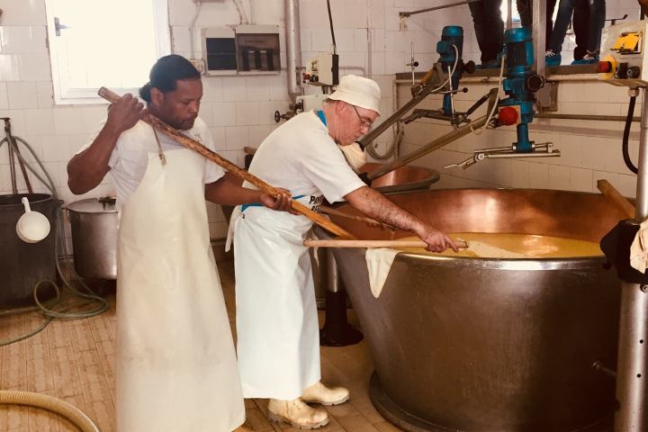 Parmigiano Reggiano Dairy Tour