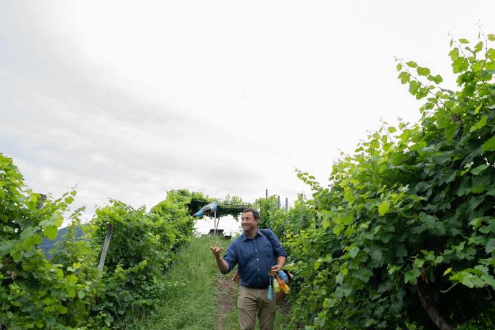 Prosecco Day Experience