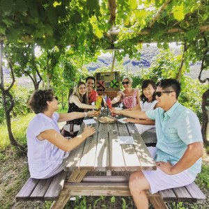 Prosecco Day Experience