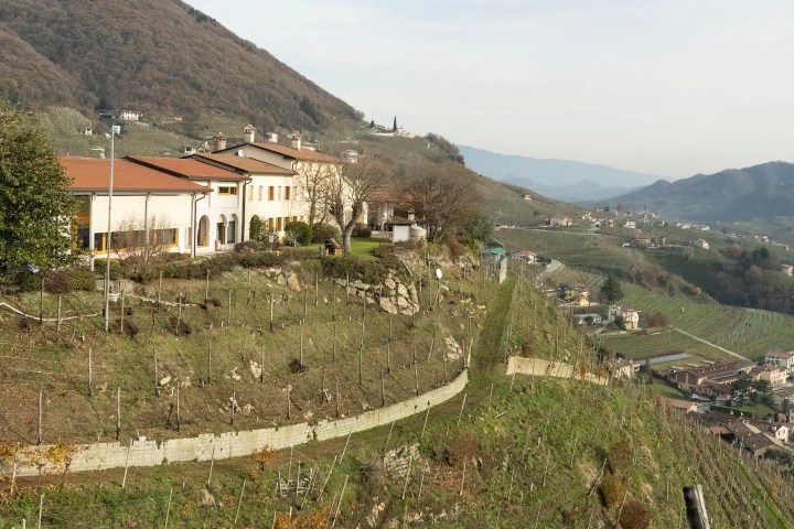 Prosecco Day Experience