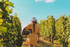 prosecco wine tour