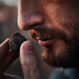 Truffle Tour in Italy