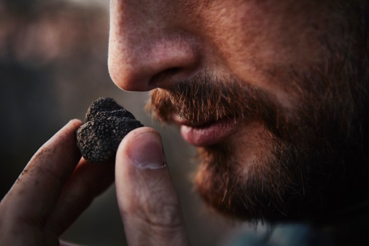 Truffle Tour in Italy