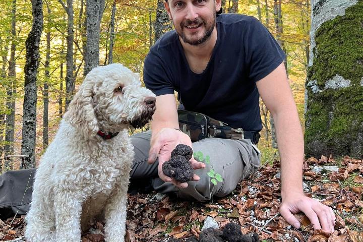 Truffle Tour in Italy