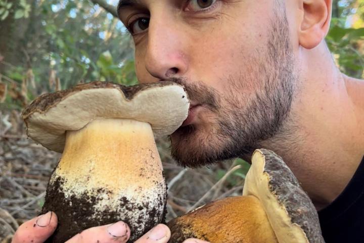 Truffle Tour in Italy