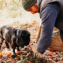 Truffle Tour in Italy