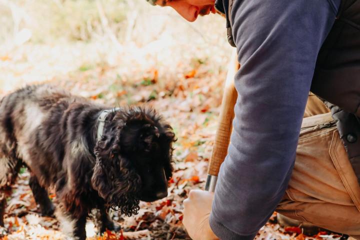 Truffle Tour in Italy