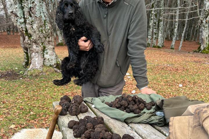 Truffle Tour in Italy