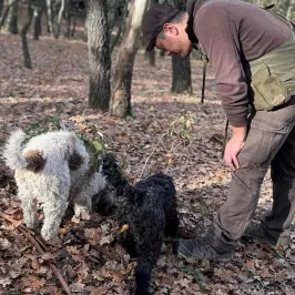 Truffle Hunting Experience