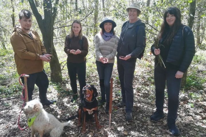 Truffle Hunting Experience
