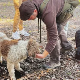 Truffle Hunting Experience