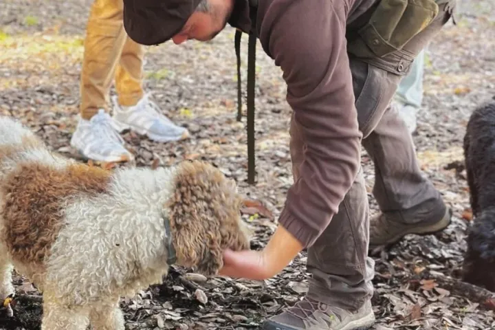 Truffle Hunting Experience