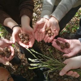 Truffle Hunting Experience