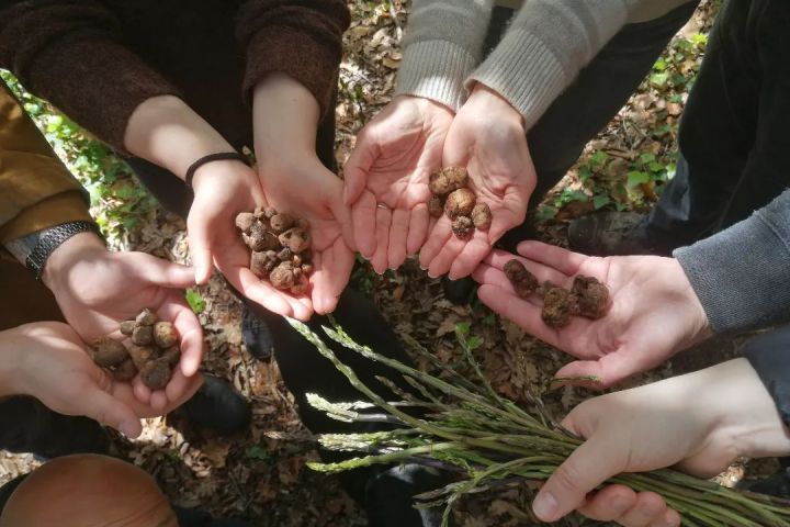 Truffle Hunting Experience