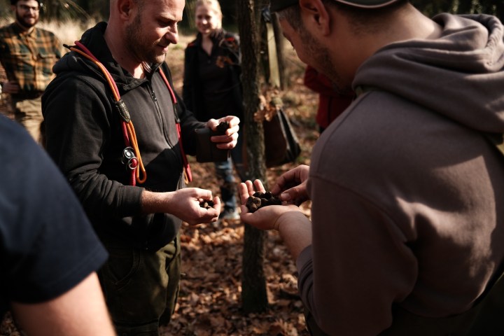 Truffle Hunting Experience