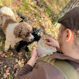 Truffle Hunting Experience