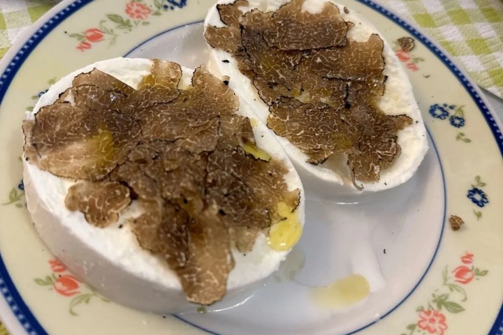 Truffle Hunting Experience