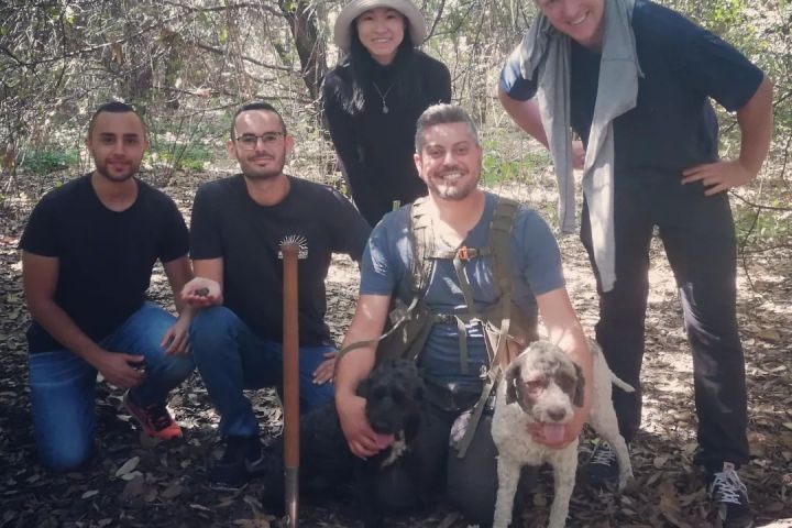 Truffle Hunting Experience