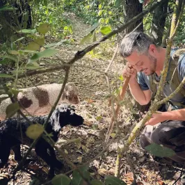 Truffle Hunting Experience