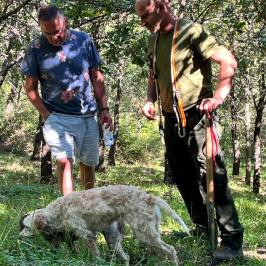 Truffle hunting near Rome with trained dog in forest