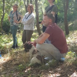 Fresh truffles found during truffle hunting Italy