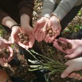 Truffle hunting near Rome with trained dog in forest