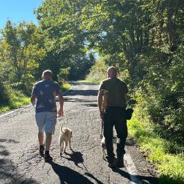 Truffle hunting near Rome with trained dog in forest