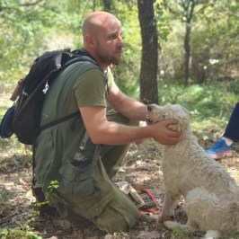 Truffle hunting near Rome with trained dog in forest