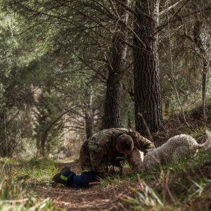 Truffle Hunting & Cooking Class