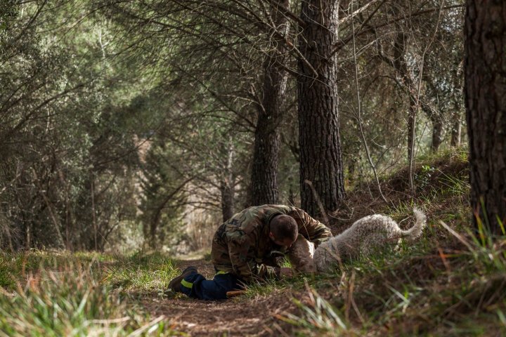 Truffle Hunting & Cooking Class