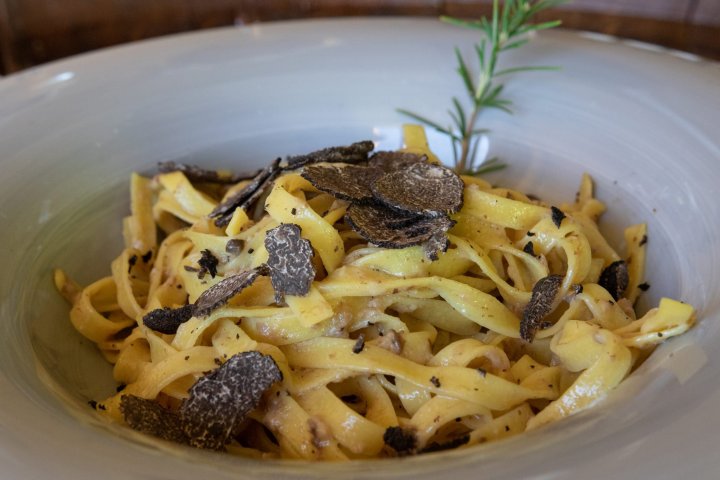 Truffle Hunting & Cooking Class