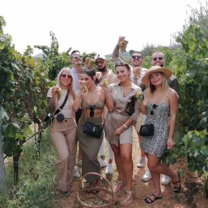 grape harvest tour in italy