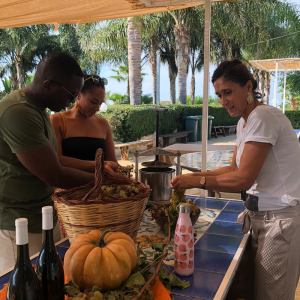 grape harvest tour in italy