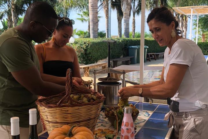 grape harvest tour in italy