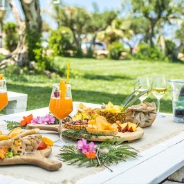 Picnic in the Vineyards