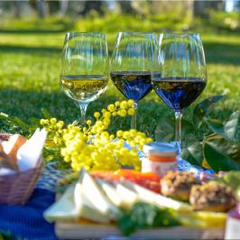 Picnic in the Vineyards